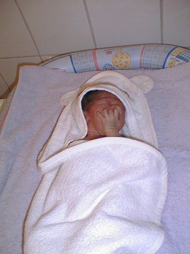 shayan11.jpg (26999 bytes)