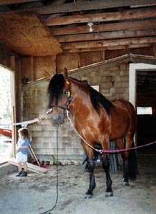 dina5b.jpg (22546 bytes)