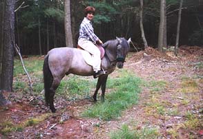 tint1.JPG (22731 bytes)