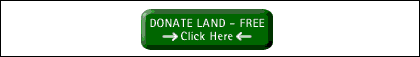 The Rainforest Site