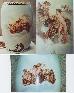 paintings on a vase