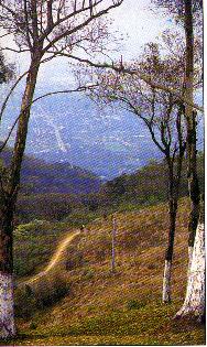Una hermosa vista desde el Cerro San Javier