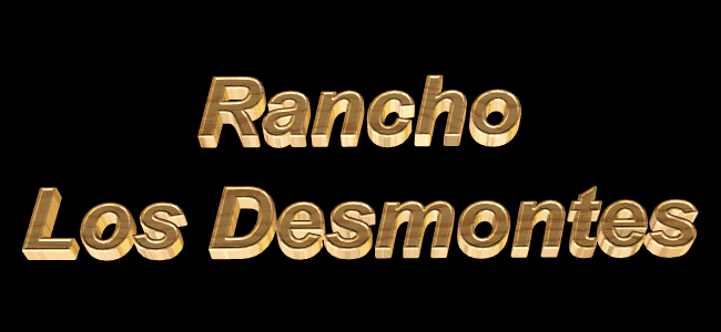 Una Realidad y Un Proyecto