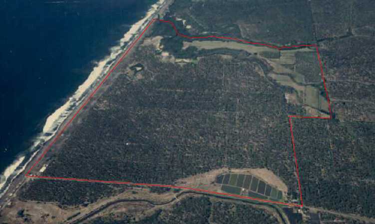 Una Realidad: 250 Has. produciendo Coco, Lim�n, Ganado Bovino y Ovino, y Camarones.