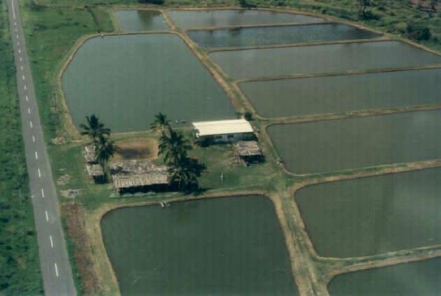 Restaurant 'La Granja', desde el Norte.
