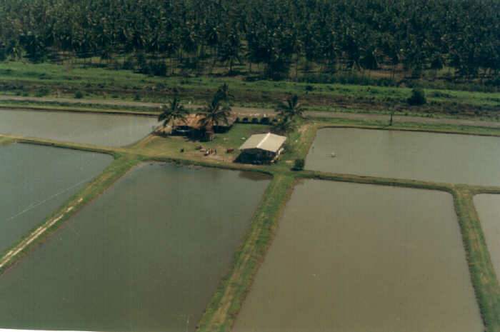 Restaurant 'La Granja', desde el SurOeste.