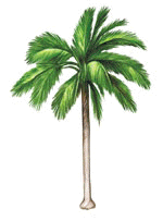 ::.. Palmera Janchi Coco o Zunca ..::