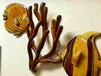 Coral Side Thumbnail Picture