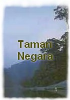 Some facts about Taman Negara