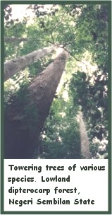 Click here to see enlarged picture