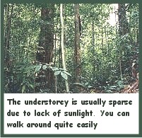 Click here to see enlarged picture