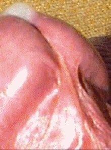 Drop of tasty sperm on top of my tasty cock