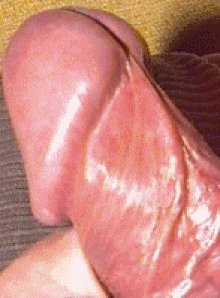 I love my hard cock