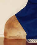 hiding.jpg (8902 bytes)