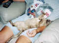 sleepinglap2.jpg (38012 bytes)