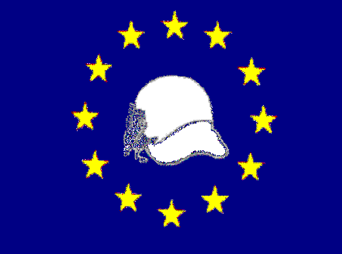 EURODOS Police Helmet
