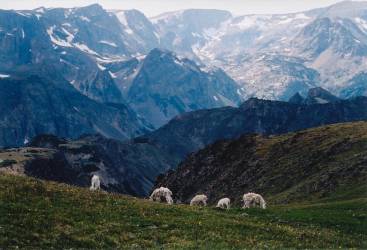Beartooth Pass
