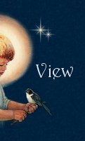 Click here to view my guestbook!