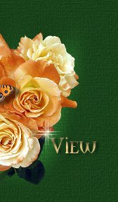 Click here to view my guestbook!
