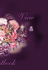 Click here to view my guestbook!