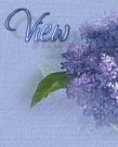Click here to view my guestbook!