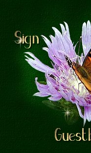 click here to sign my guestbook