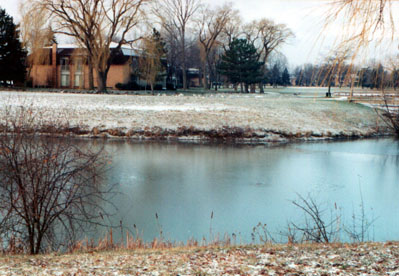 Frozen Lake