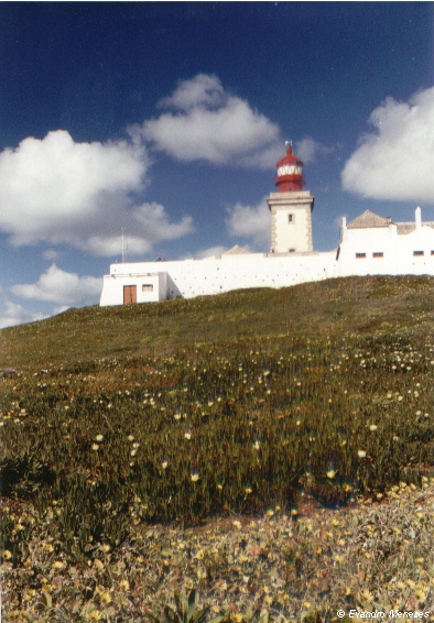 Roca Cape