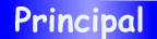 BPrincipal.GIF (2752 bytes)
