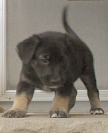 It's Little Girl!