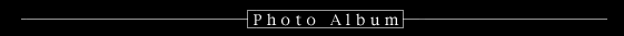Photo Album
