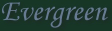 Evergreen