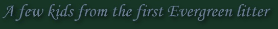 evgrkids.jpg (8969 bytes)