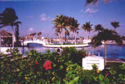 Moon Palace Pool View