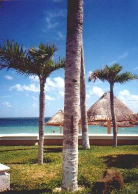 View of beach from Moon Palace pool