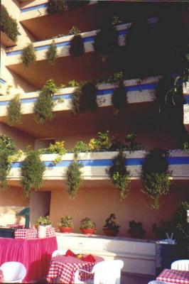 Terrace at Beach Palace