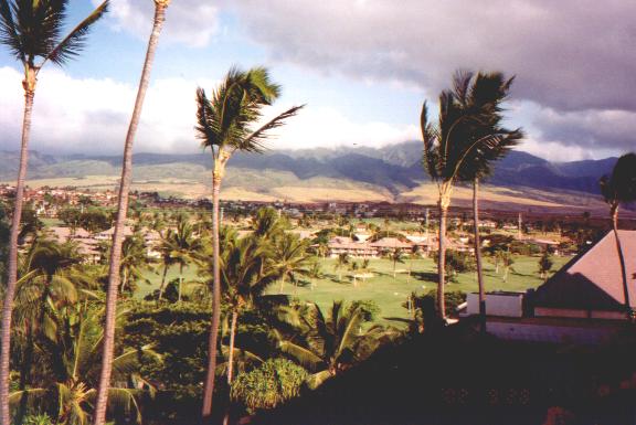 hawii0204.jpg