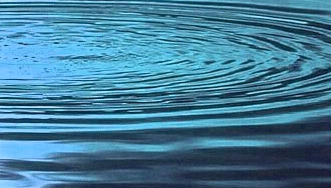 the ripple spread for hours (52K)
