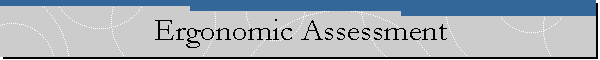 Ergonomic Assessment
