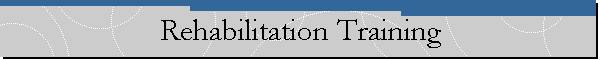 Rehabilitation Training