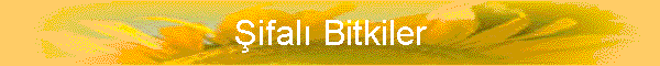 Şifalı Bitkiler