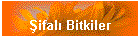 Şifalı Bitkiler