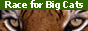 help tiger
