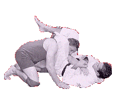 gif-finalizando.gif