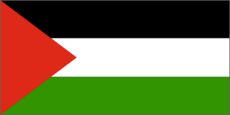 Picture of Palestine
