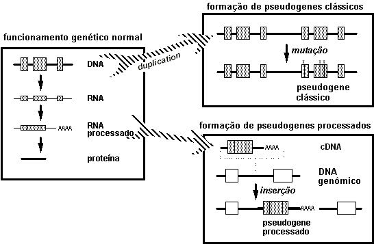 [Fig2]