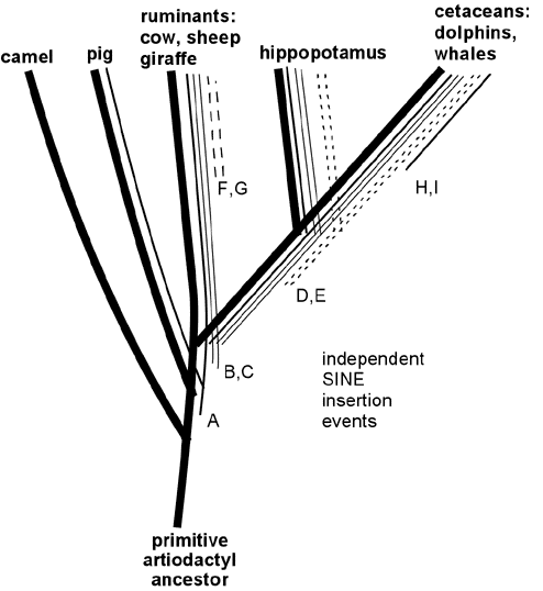 [Fig4]