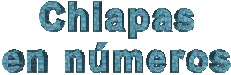 Chiapas en n�meros