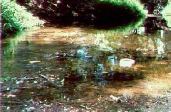 Contaminacin del ro Sabinal
