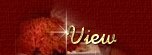 Conoce a mis visitantes